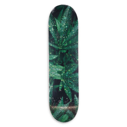SARA SHAKEEL Skateboard Deck Wood Printed Design Green Black Size 8 RRP 150