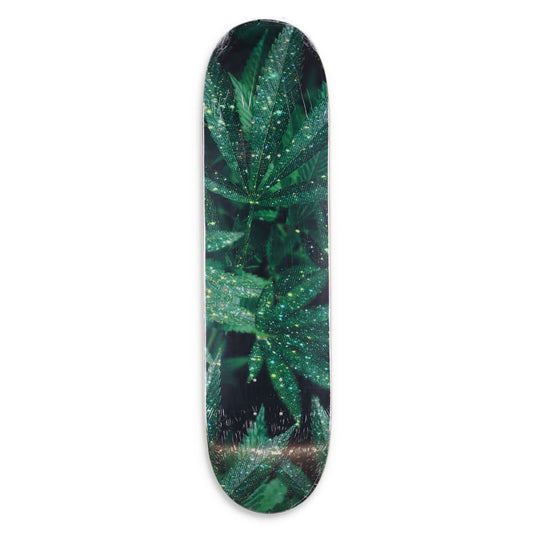 SARA SHAKEEL Skateboard Deck Wood Printed Design Green Black Size 8 RRP 150